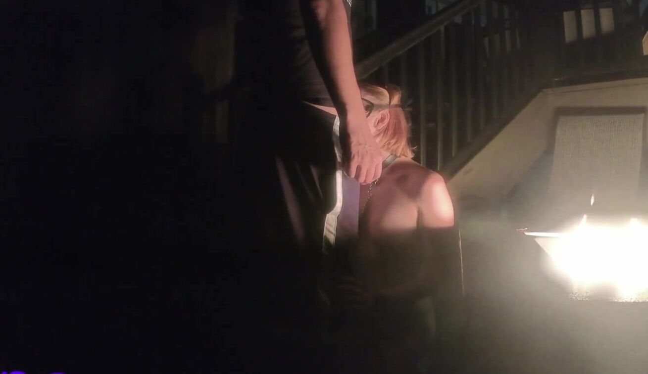 big titted teenie pet collared and leashed outdoor by the fire pit for sexual outside photoshoot and pounded poster